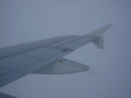 DSC03253_resize.JPG